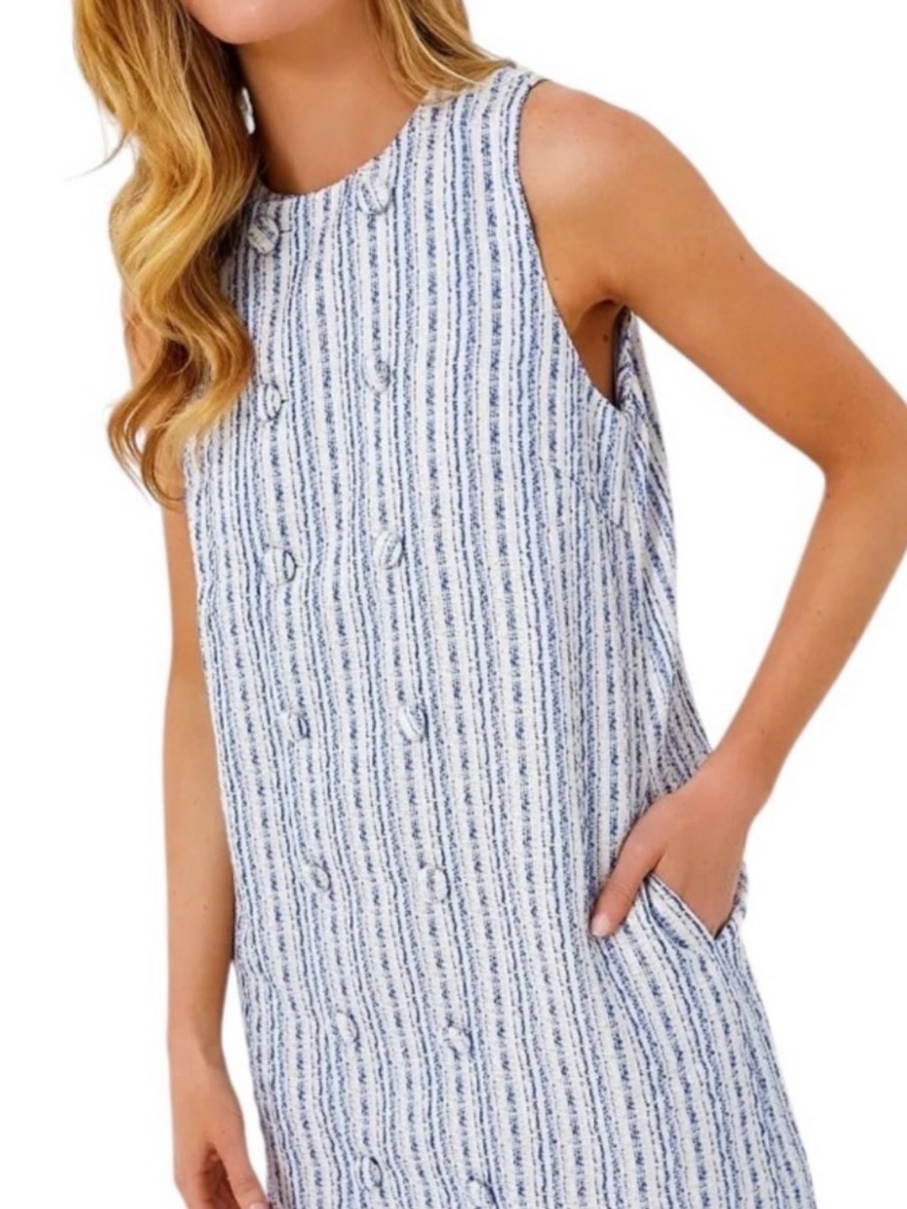 Tuckernuck Tweed striped Sleeveless Shift Dress in Blue and White - Picture 6 of 6